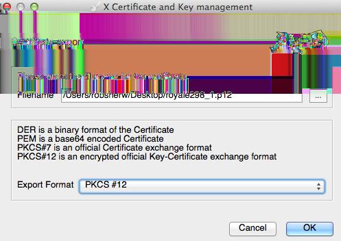 A APROVAÇÃO e você do clique são presentado com a senha da criptografia para o certificado do PKCS12,