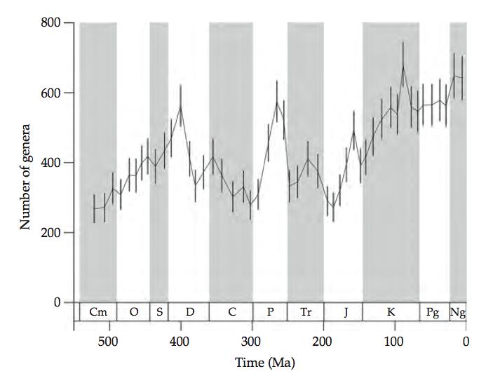 7 bilhões de anos PADRÕES TEMPORAIS DE BIODIVERSIDADE Mudança