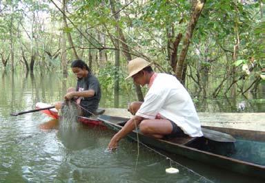 passa a ser realizada principalmente nos igapós, uma vez que os lagos, em virtude da enchente, tornam-se contínuo, formando um grande lago, dispersando os peixes para os igapós.