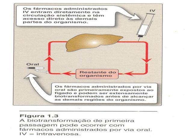 EXCREÇÃO A saída dos fármacos do organismo pode ocorrer através de numerosas vias,