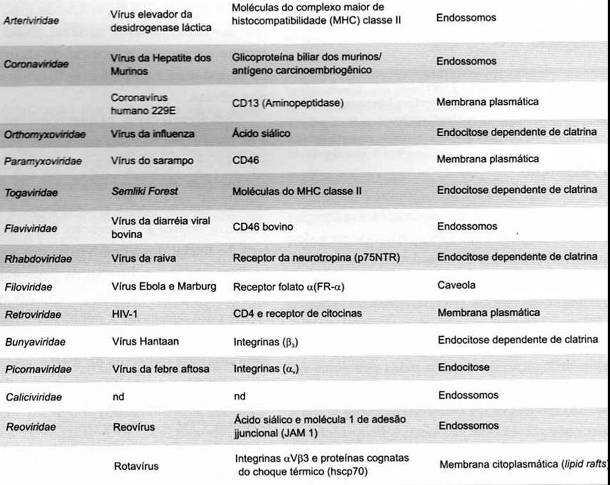 1. Adsorção Tabela 3 Receptores celulares e mecanismos de penetração dos