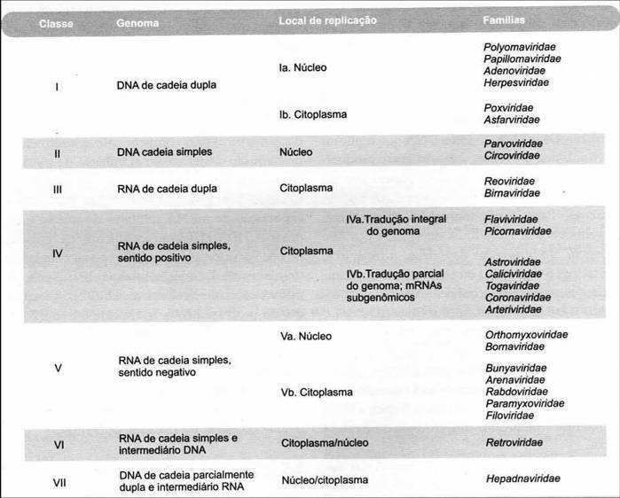 5. Replicação viral Tabela 4 - Classificação dos vírus de acordo com o