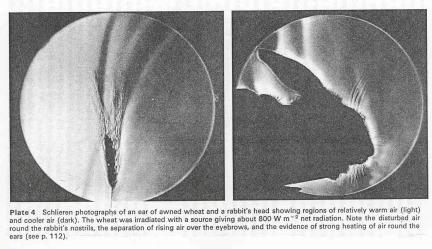 Environmental Physics, 1973, Arnold