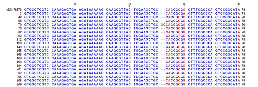 Resultados nunhuma mutação nucleotídica no gene ramr de 11 isolados (TG68, TG76, TG82, TG149, TG169, TG193, TG194, TG201, TG202, TG205, TG208), em comparação com a sequência de referência (Tabela 17).