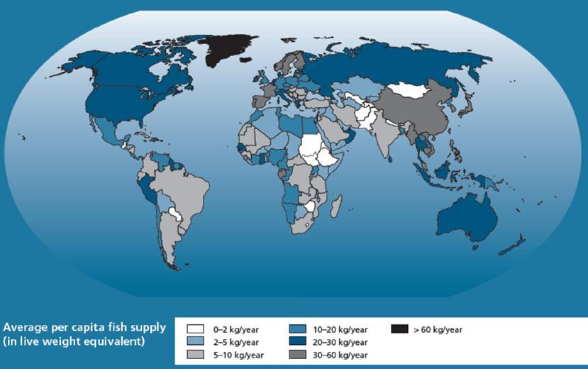 MÉDIA DO CONSUMO PER CAPITA