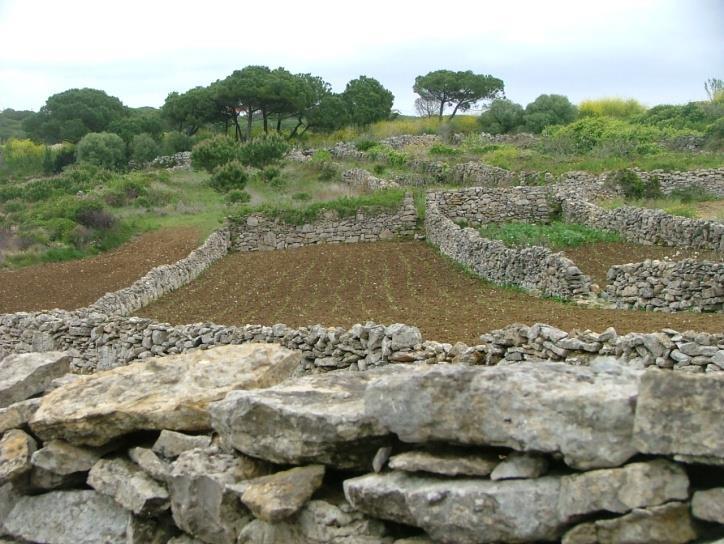 agricultura