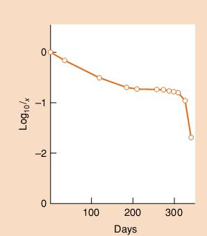 Tabela de Vida lx = Proporção da coorte que sobreviveu ao período anterior l x Indica a
