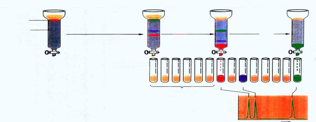 Concentração Funcionamento Básico de uma Coluna Cromatográfica Uma coluna é um tubo cilindríco aberto nas duas extremidades e preenchido com a resina ou matriz ou gel cromatográfico.