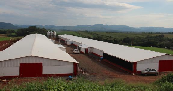 despesa em 48% (conta mensal R$ 25 mil para R$ 14 mil) Rio Verde GO Solar / Aviários: