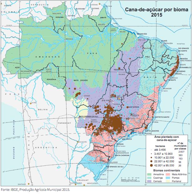 desmatadas, aptas para plantio de cana. No total são 8,7 milhões de hectares onde a cana pode se expandir nesses três Estados sem converter nenhum hectare de Cerrado nem de campo natural.