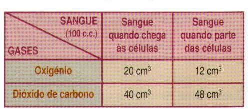 3. Certos alimentos e o tabaco provocam o estreitamento das artérias o que, por um lado, impede as células de receberem a quantidade de oxigénio necessária e, por outro, obriga o coração a um esforço