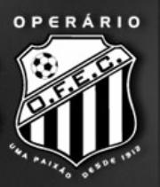 Nota-se que estes escudos foram inspirados com base em outros times: O n (2) foi inspirado no São Paulo (SP); O n (3) no Botafogo de Regatas (RJ).
