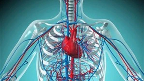 Cuidados na TIV cardiológica FUROSEMIDA Diurético de alça com ação no aumento da excreção de sódio e potássio usado na redução do edema associado