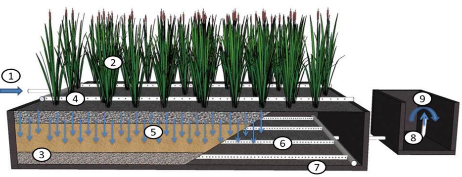 37 Já no fluxo vertical (Figura 3), o wetland é geralmente escavado no solo, e também preenchido com material de recheio, onde são plantadas as macrófitas.