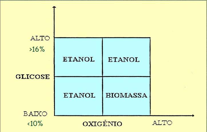 Condições ambientais (substrato x produto) Efeito da concentração de etanol e