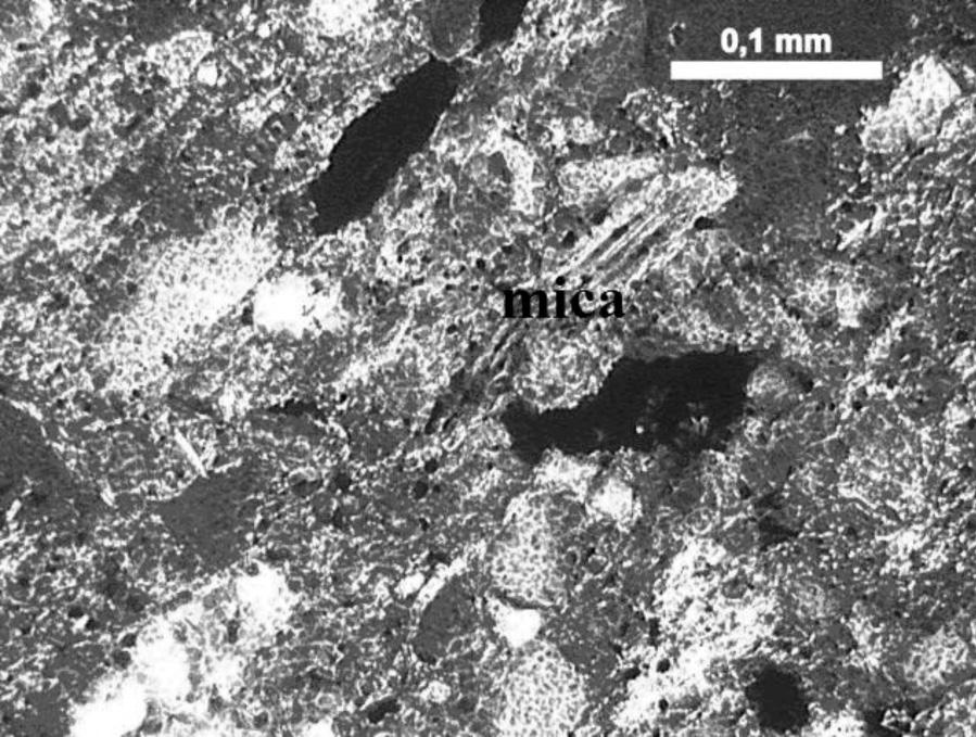 J. A. Costa et al. / Cerâmica 56 (2010) 360-367 363 argilosa.