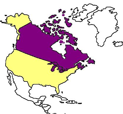 Residentes da América do Norte de 2001/2002 AÉRICA DO NORTE ANO AÉRICA