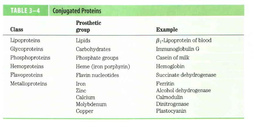 Proteínas simples possuem somente Amino-ácidos Proteínas conjugadas - proteínas com