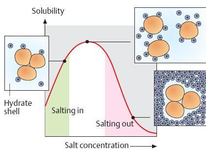 Salting out Geralmente utiliza-se sulfato de amônio para diminuir a