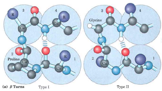 Estruturas Terciárias Rearranjos tridimensionais total de todos os átomos