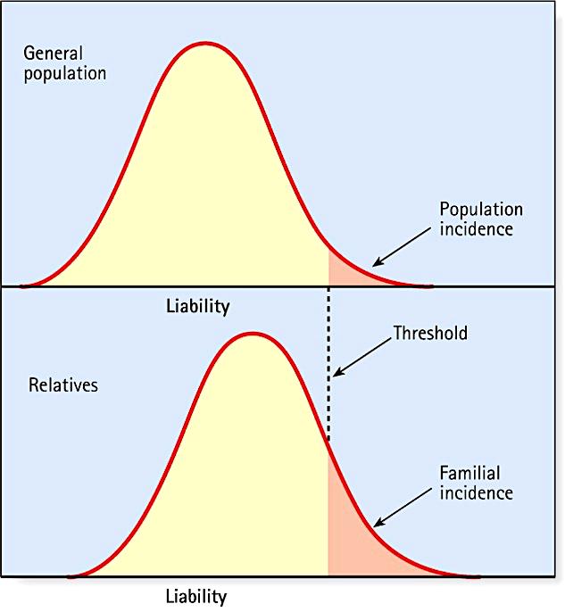 Hereditariedade Mul&fatorial - O Modelo de Propensão/ Limiar Na população geral a proporção além do limiar é a incidência populacional Entre parentes a proporção além do