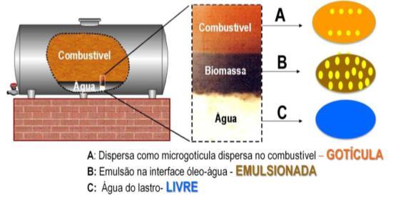 4 A biomassa está geralmente ligada à umidade do tanque de armazenamento, quanto mais úmido estiver o tanque de armazenagem, mais estará exposto a uma contaminação por partículas de H2O (ZIMMER &