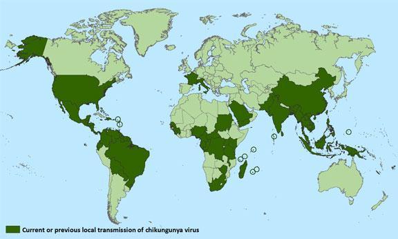Situação Epidemiológica Global Países e territórios com registro de transmissão autóctone de Febre