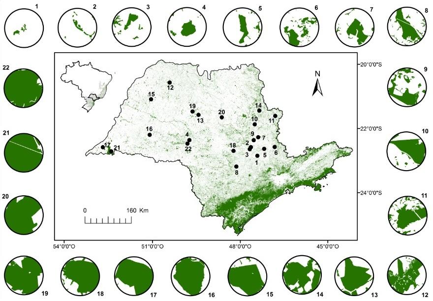 Localização de paisagens (pontos pretos) em remanescentes de Mata Atlântica, no