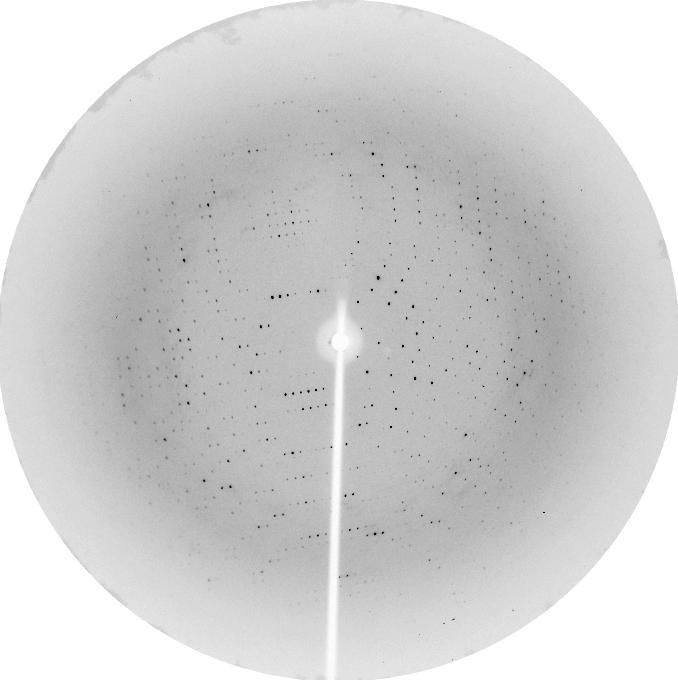Esfera de Ewald A câmara de oscilação, ou rotação, é o principal instrumento usado para o registro do padrão de difração de raios X de cristais de macromoléculas biológicas.