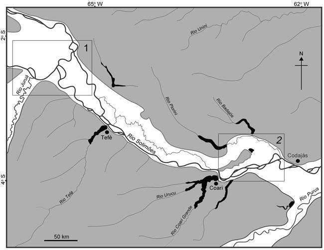 Figura 1 Localização do trecho do rio Solimões e áreas de estudo