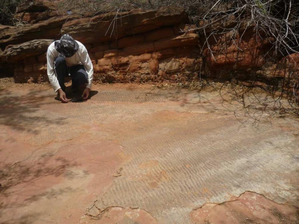 35 Figura 9. Imagem mostrando a coleta de dados de paleocorrente com a bússola de modelo tipo brunton em estruturas sedimentares em marcas onduladas.