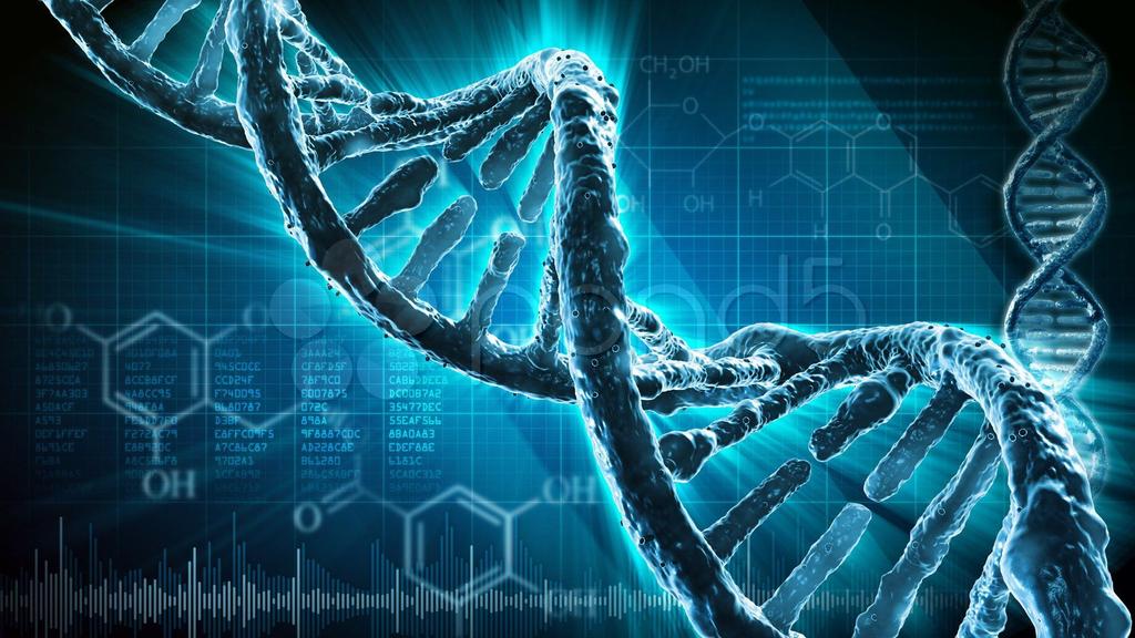 DNA SERIA A MOLÉCULA PRECURSORA DA VIDA? A principal candidata a molécula precursora da informação genética no início da vida era o DNA.