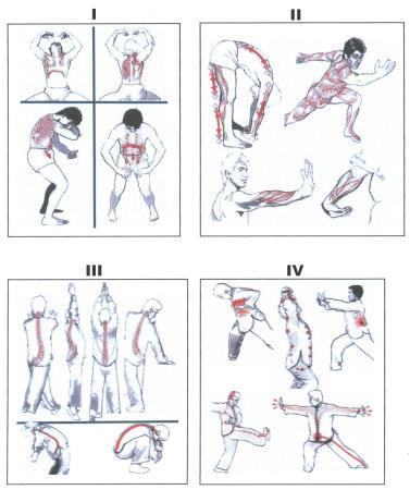 08. (UNIMONTES) A realização de determinados exercícios físicos pode beneficiar várias funções fisiológicas no organismo humano. As figuras abaixo mostram alguns tipos de exercícios físicos.