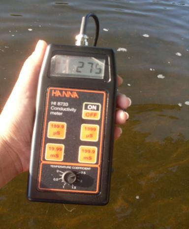 Para avaliação da qualidade da água estão sendo determinados na secção de controle (in locu): temperatura da água; condutividade elétrica - CE, oxigênio