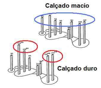 Distribuição de pressão plantar Características: Calçados com diferentes rigidez influenciam distribuição de