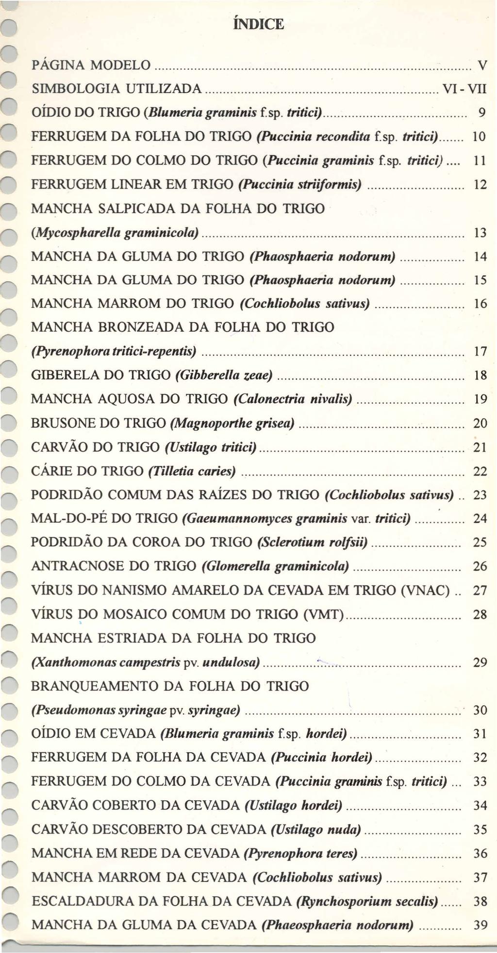 PÁGINA MODELO V SIMBOLOGIA UTILIZADA VI - VII OÍDIO DO TRIGO (Blumeria graminis fsp. tritici)... 9 FERRUGEM DA FOLHA DO TRIGO (Puccinia recondita fsp.