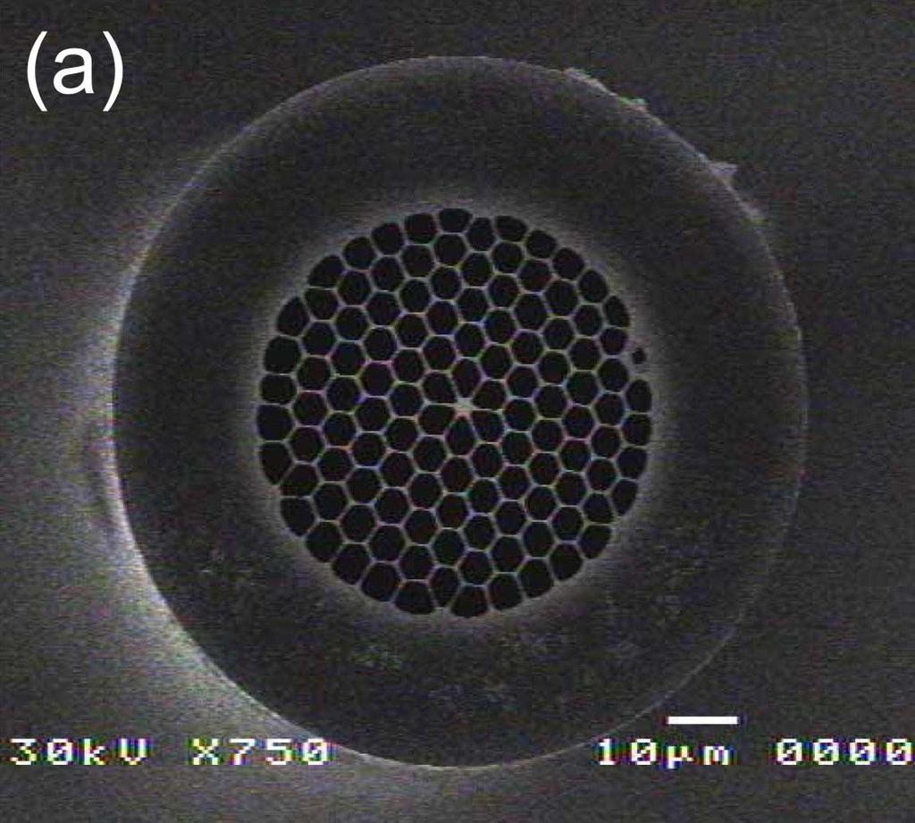 f π d = 2 3 Λ 2 2 (1) De forma geral, e do ponto de vista geométrico e de guiamento da luz, as fibras ópticas de cristal fotônico podem ser classificadas em duas categorias básicas, que são as fibras
