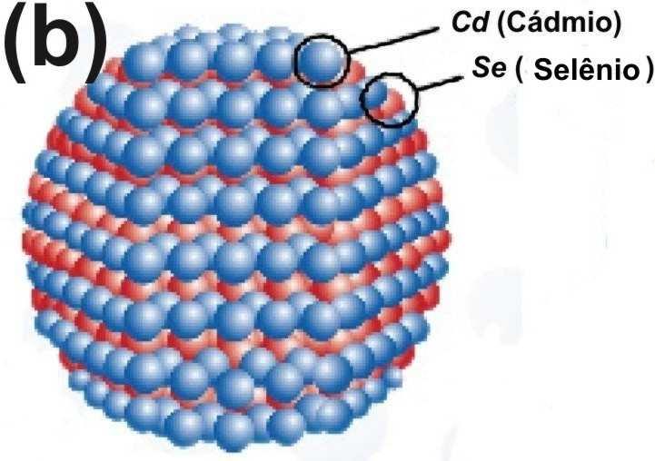 estrutura de núcleocasca de CdSe/ZnS [144].