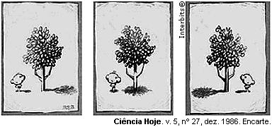 Os quadrinhos mostram, por meio da projeção da sombra da árvore e do menino, a sequência de períodos do dia: matutino, meio-dia e vespertino, que é determinada a) pela posição vertical da árvore e do