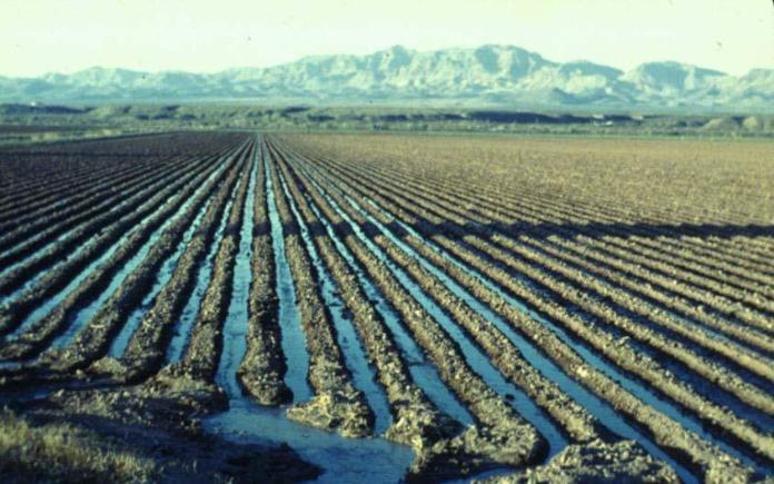 Irrigação por Superfície Irrigação por sulcos