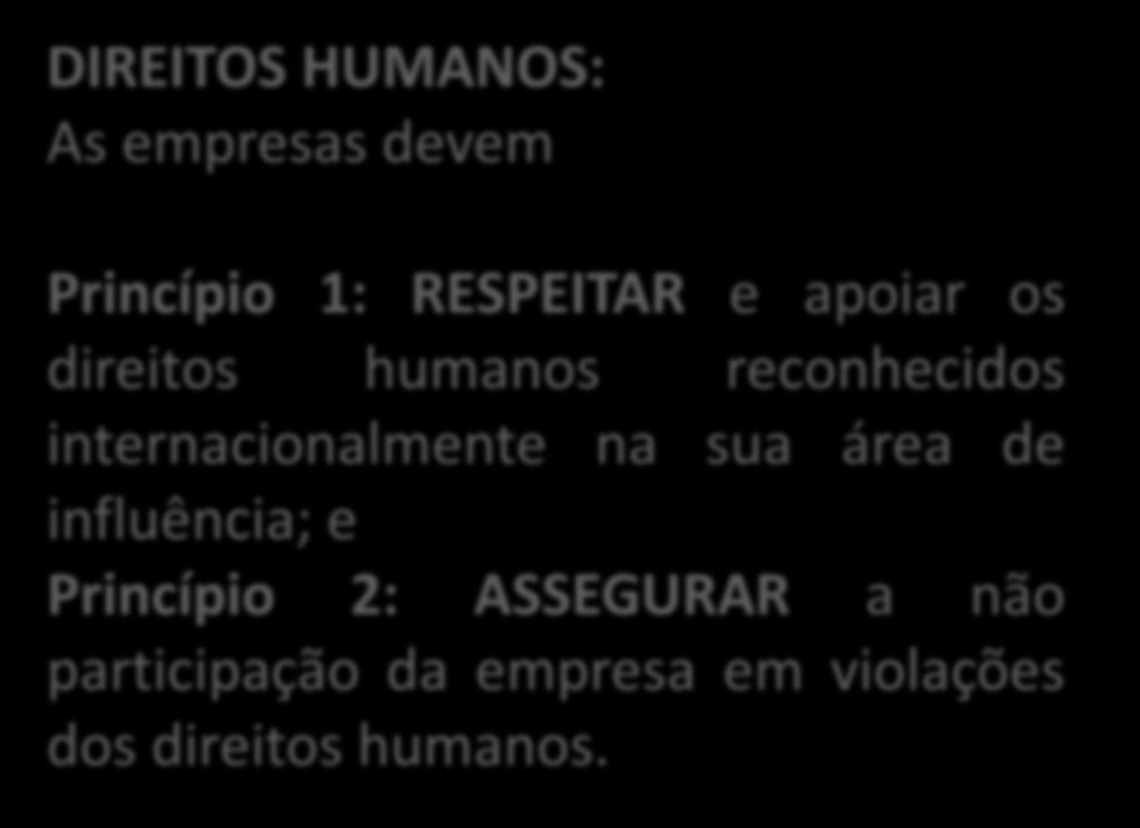 DIREITOS HUMANOS: As empresas devem Princípio 1: RESPEITAR