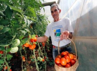 orgânicos na alimentação escolar na BP3.