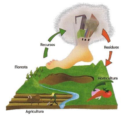 O impacto do Homem sobre o planeta, e em concreto, a relação entre o consumo de recursos naturais e a