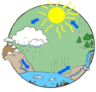 A energia do Sol e a gravidade permitem o movimento da água no ciclo hidrológico.