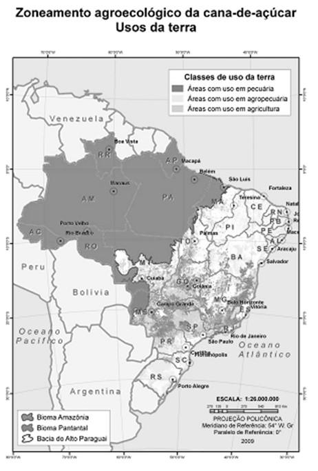 no campo; - organizar e treinar pessoal para corte ou terceirizar a atividade, se for o caso; - executar as