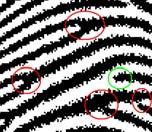 elementos contidos na imagem, ou reconhecer padrões 19 20 Visão Artificial Problema mais específico: identificar de padrões em imagens: pattern recognition Dadas algumas amostras de sinais complexos