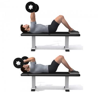 Triceps extension lying - Barbell Set 1 6 x kg Set 2 6 x kg Set 3 6 x kg Tríceps Coloque-se de costas no banco horizontal.