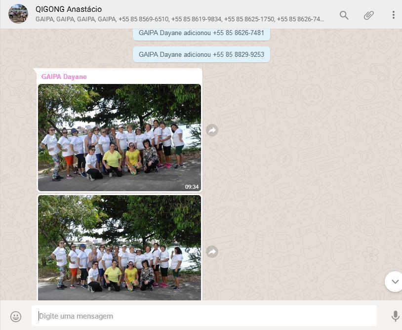 Figura 3. Perfil do grupo de Qigong na Lagoa no Whatsapp, GAIPA, Fortaleza-CE.
