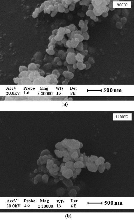 Figura 10. Pigmento de cromo, calcinado a 900 ºC e 1100 C, respectivamente. Microscopias aumentadas em 20.000 vezes.