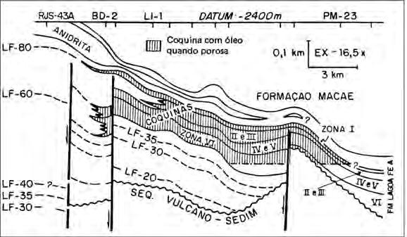 Figura 14 Seção geológica do Trend de Badejo-Linguado-Pampo (modificada de Baungartem et al., 1988). 5.